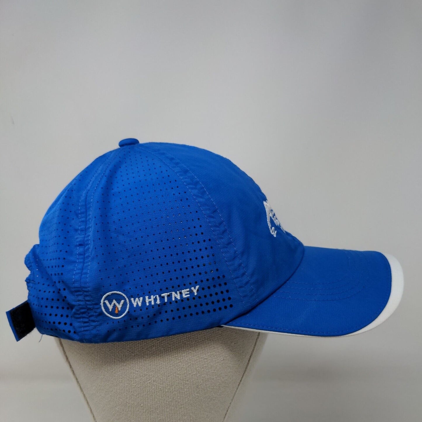 Fishing For Wishes Whitney Strapback Hat Blue OSFM Nike Golf Embroidered