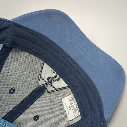 Patagonia Trucker Hat Blue One Size Live Simply Mountain Mesh Snapback Graphic