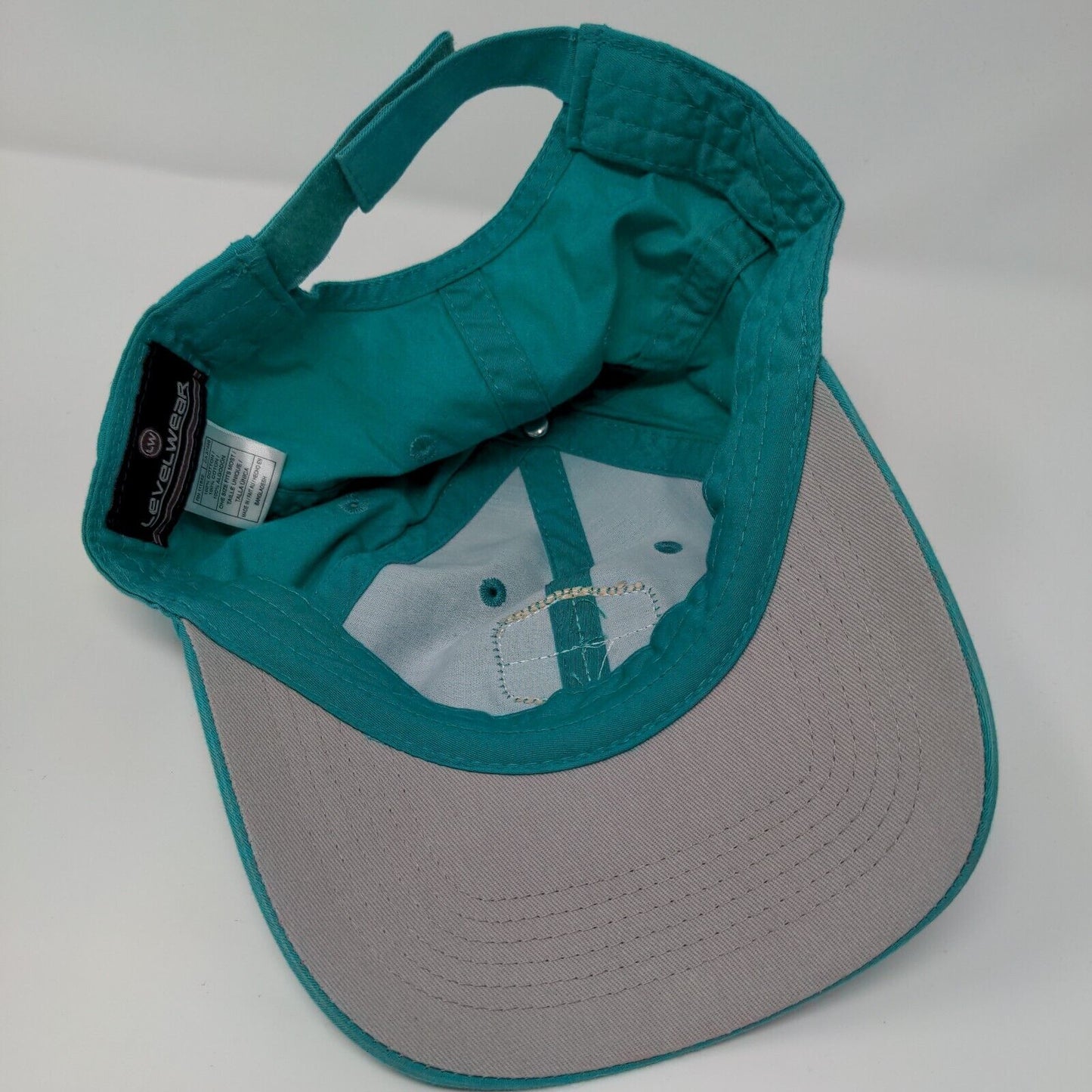 Terrace Lakes 1965 Strapback Hat Greenish-Blue OSFM Adjustable Levelwear Cotton