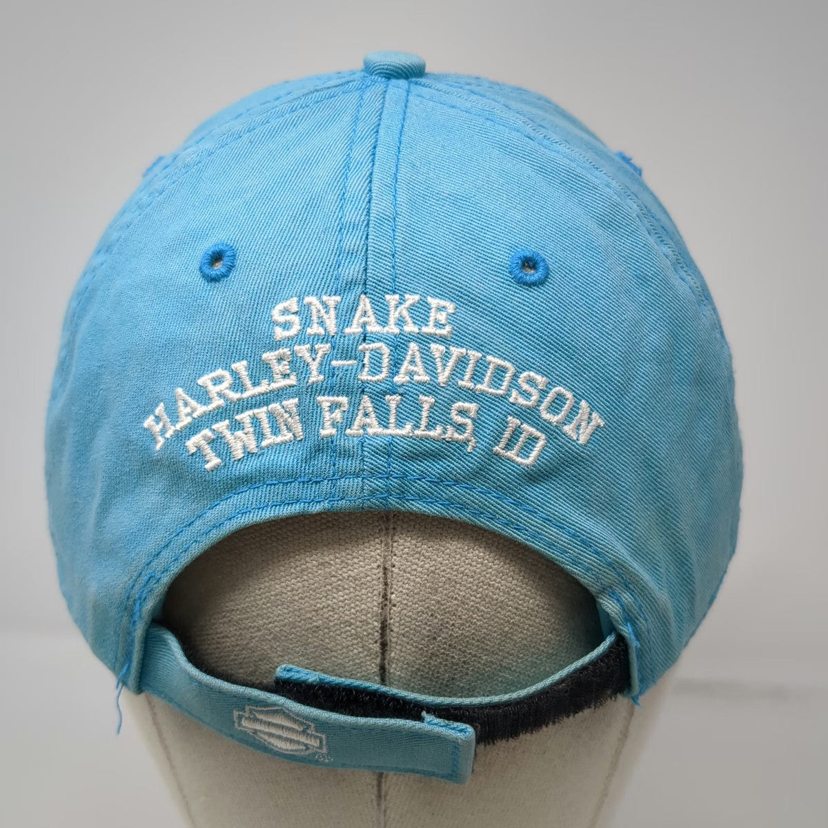 Harley-Davidson Baseball Cap Blue One Size Snake Twin Falls ID Script Hat
