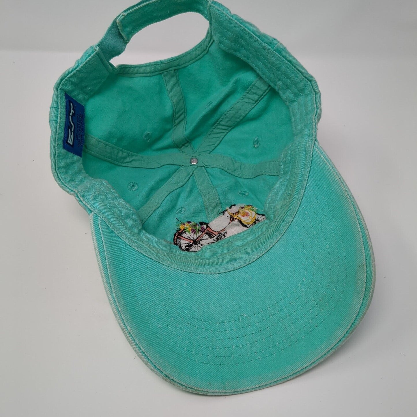 Bicycle Savannah GA Strapback Hat Bluish-Green One Size Embroidered