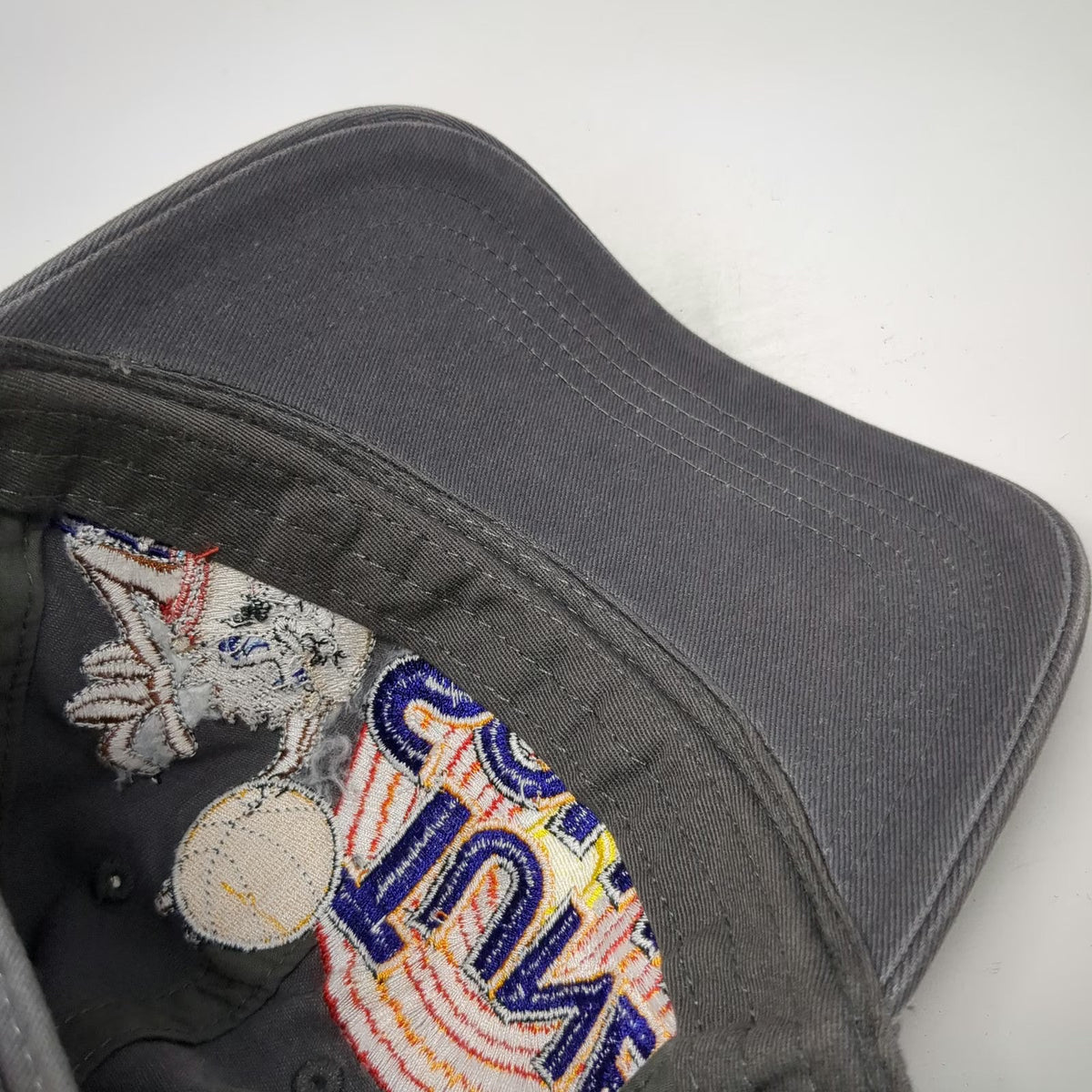 Dumbgood Baseball Cap Gray One Size Tune Squad Taz Space Jam Slideback Hat