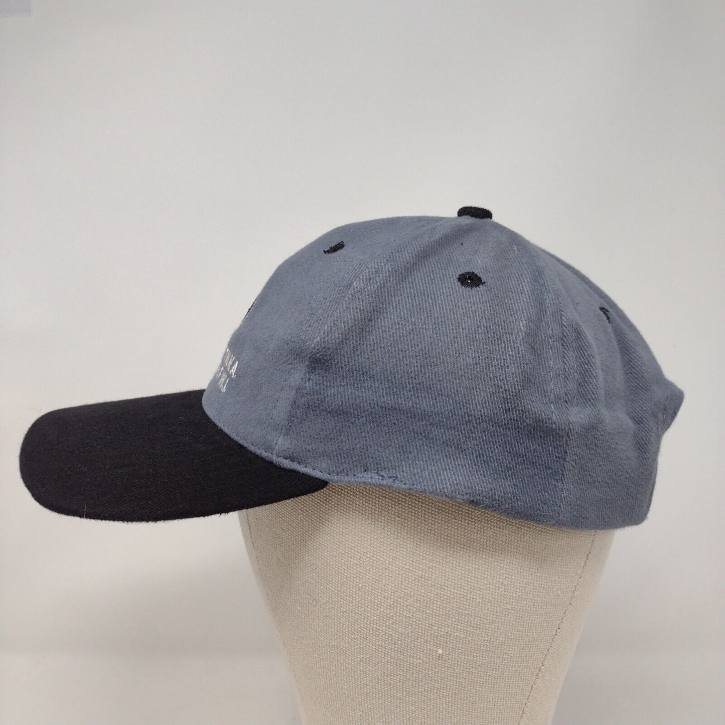 St. Maarten NA Strapback Hat Gray OSFA Colorblock Embroidered 6 Panel