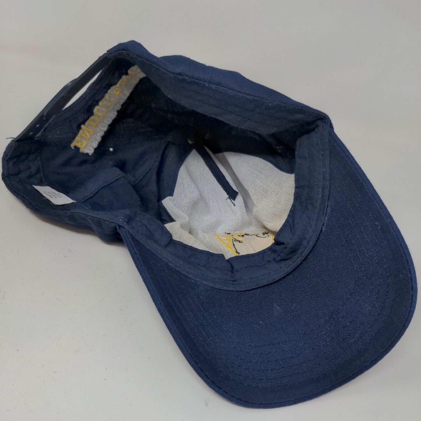 Democracy Prep Endurance School Men's Snapback Hat Blue Embroidered Logo