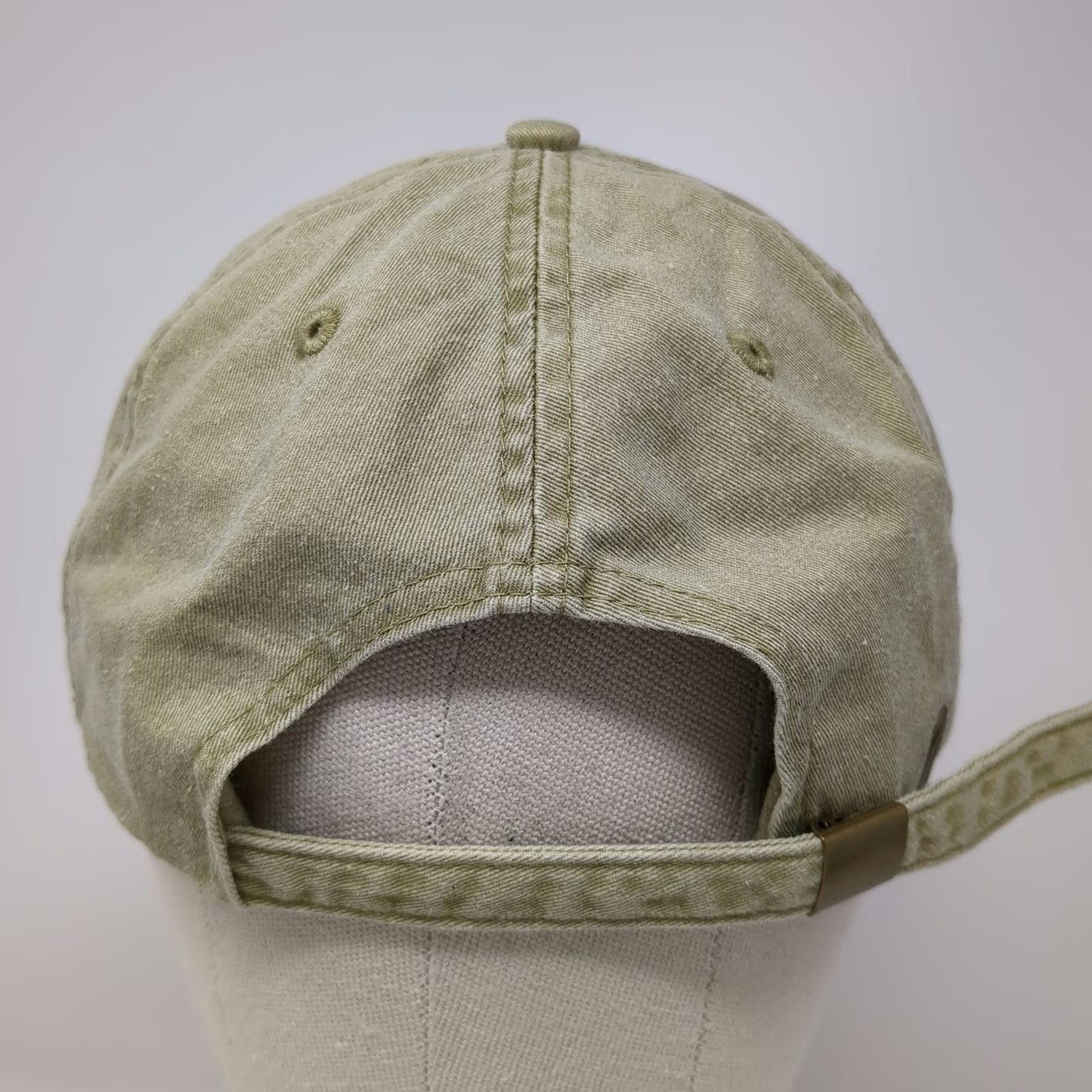 Anvil Baseball Cap Beige One Size Lake is good Fish Embroidery Cotton Hat Strap