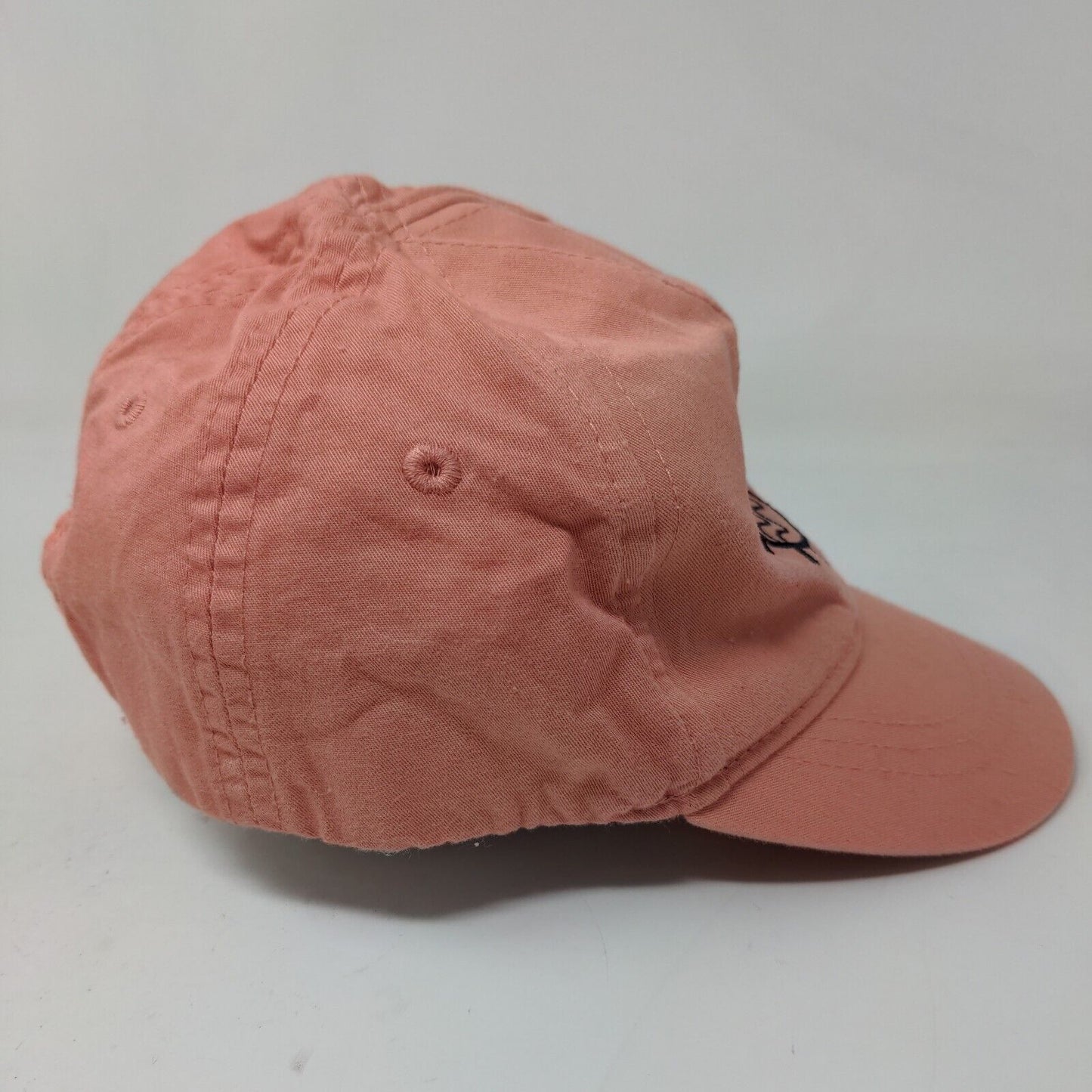 Unbranded Girl's Stretchy Hat Pink Embroidered Let's Swim Logo