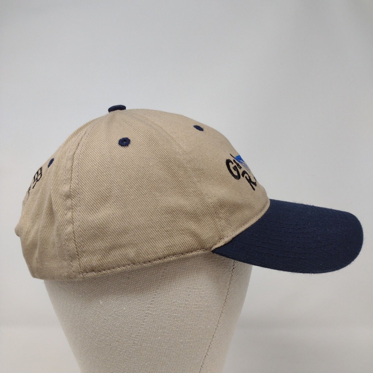 G&R Ag Products, Inc. Strapback Hat Multi OSFM Embroidered Colorblock