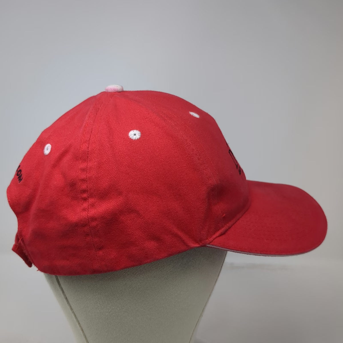 Otto Baseball Cap Red OSFM Dr. JimZ Secret Formula Ladybug Logo Strapback Hat