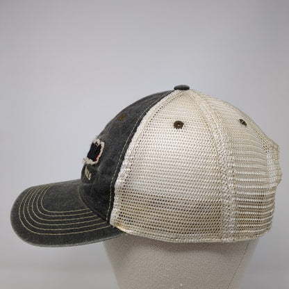 Niagara Falls Snapback Trucker Hat Gray One Size Adjustable Mesh Back Legacy