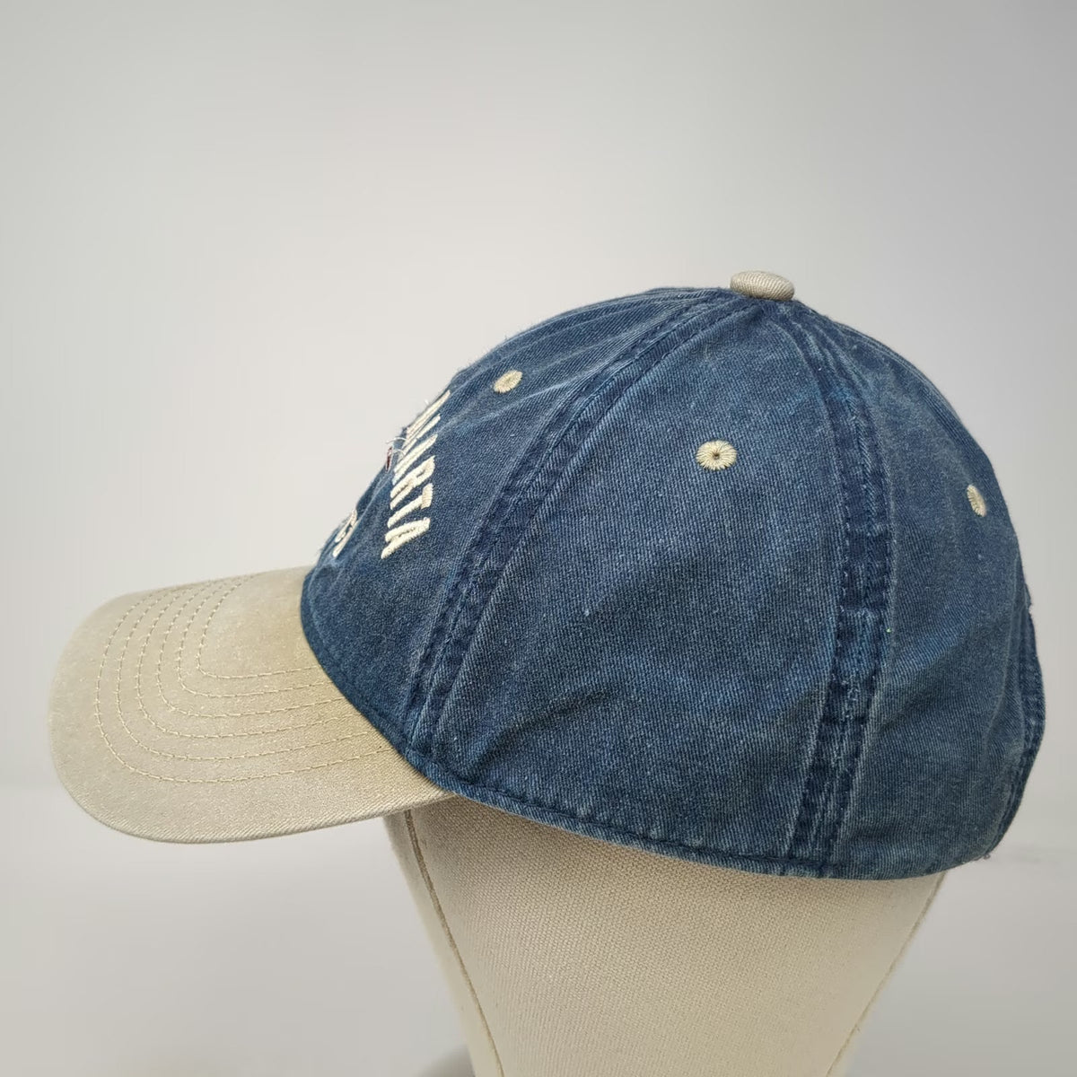 Explosion Baseball Cap Blue Beige One Size Puerto Vallarta Mexico Bird Logo Hat