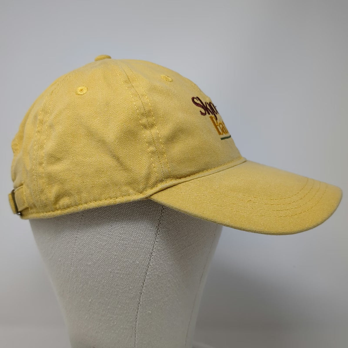 Authentic Pigment Skjodt Barrett Checkered Flag Yellow Baseball Cap One Size Hat