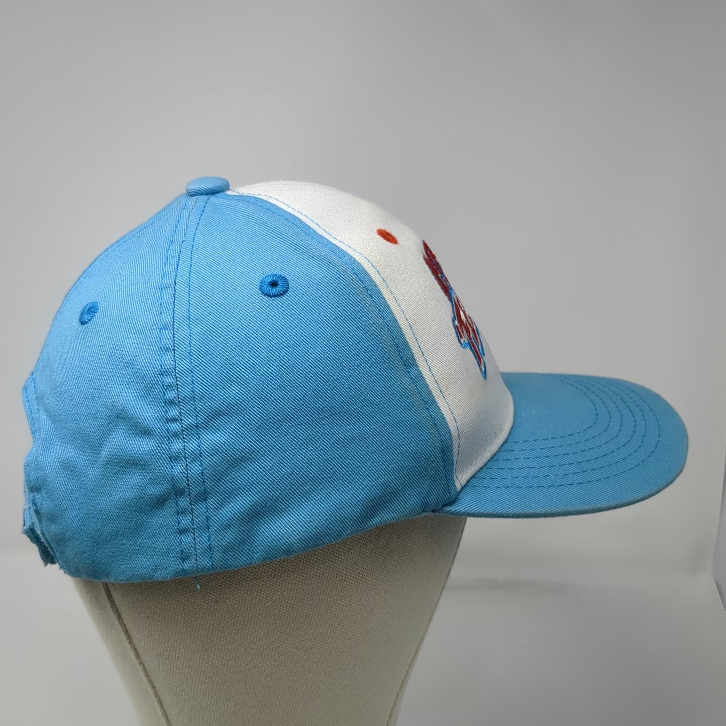 Melonwear Festers Service Electric Blue Baseball Cap One Size Hat Strap Iron Pig