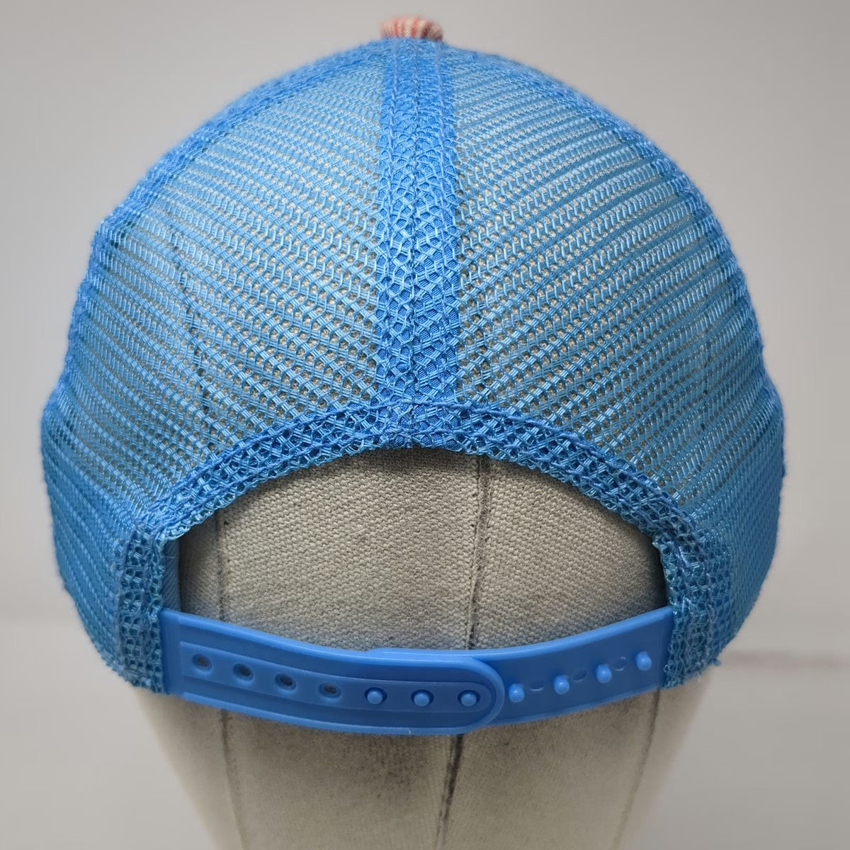 Pistil Trucker Hat Blue One Size Graphic Mountain Mesh Back Snapback Stripes