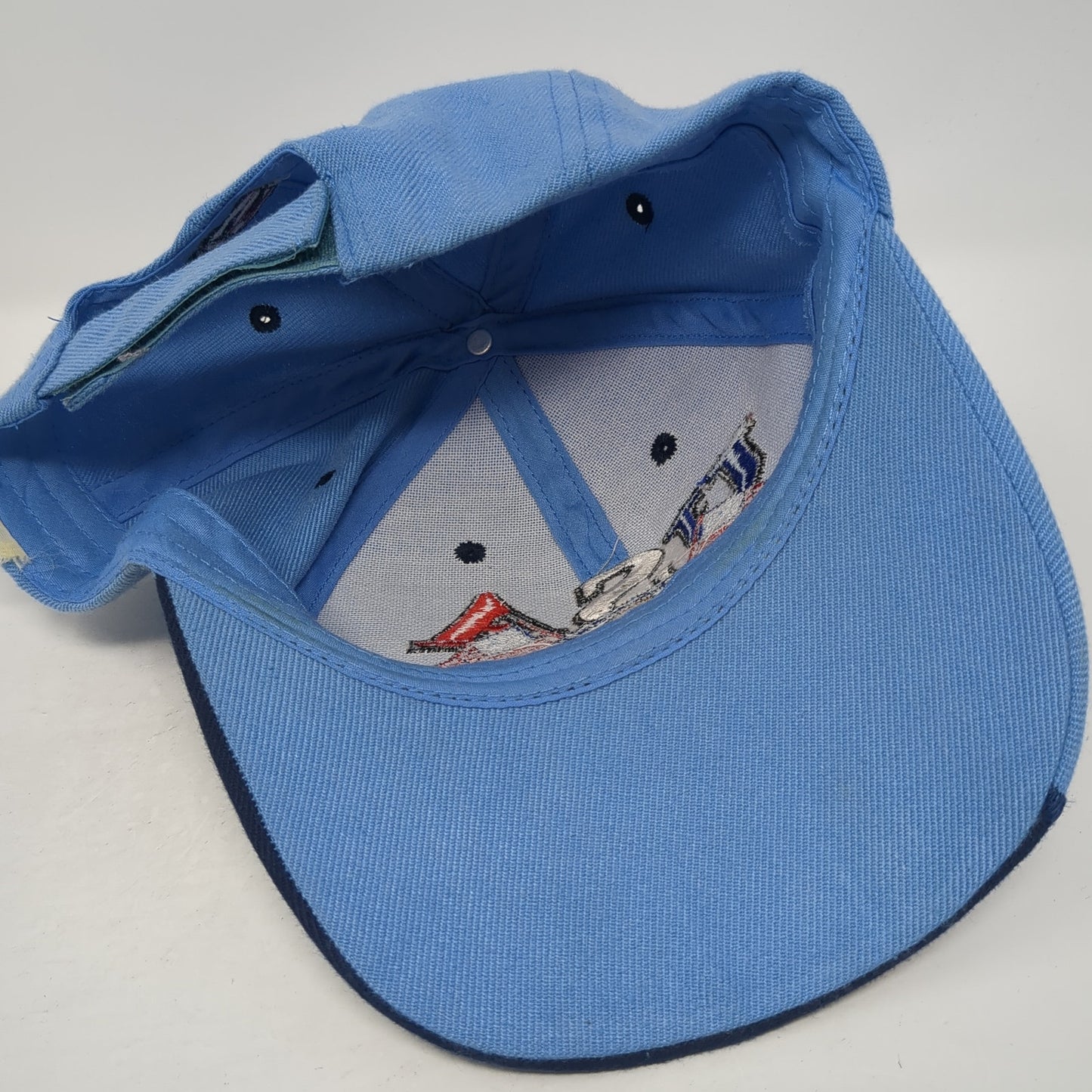 USA Strapback Hat Blue One Size Adjustable Embroidered 6 Panel Outdoor