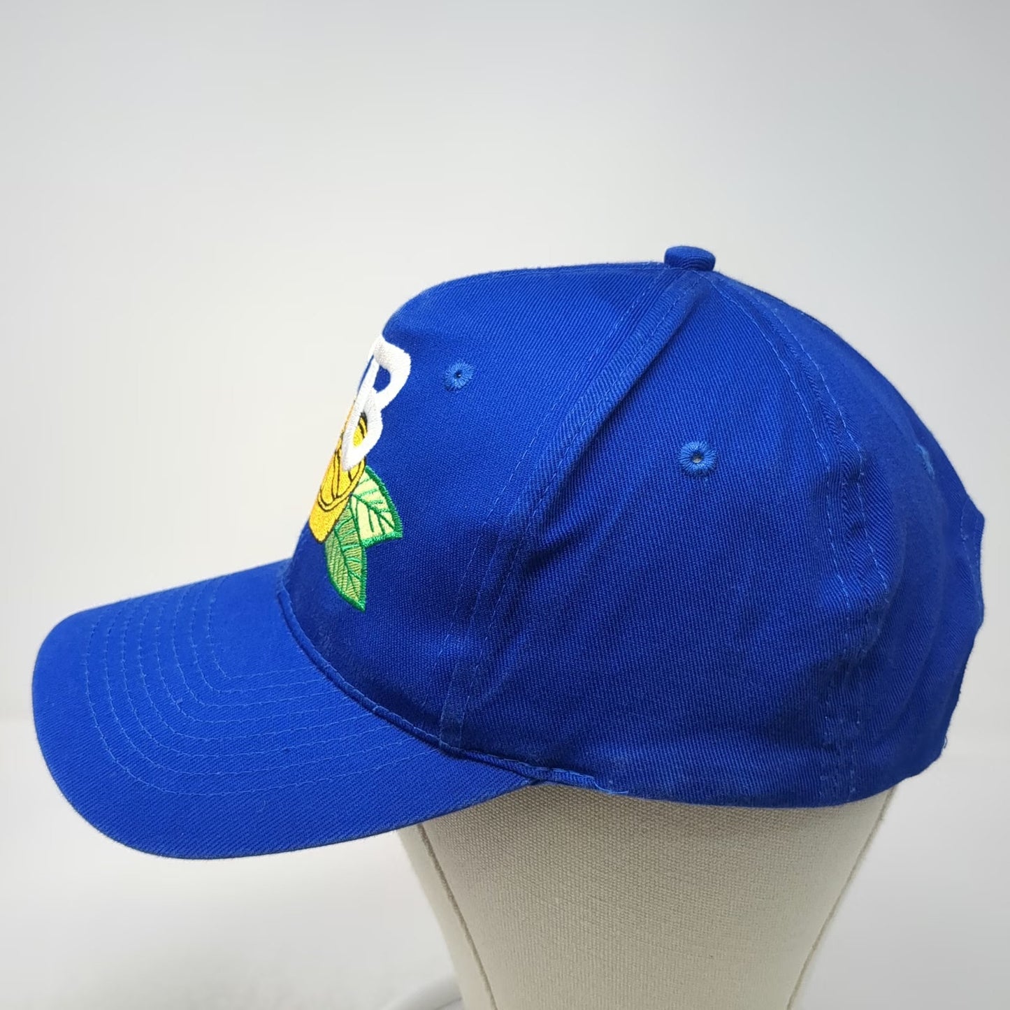 KC Snapback Hat Blue One Size Embroidered VB Lemon Graphic Structured Apparel