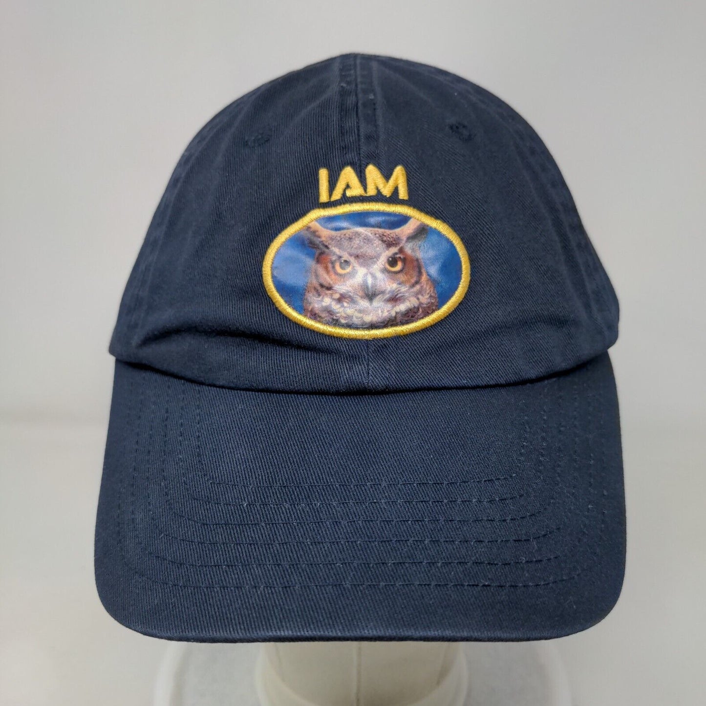 I am Owl Strapback Hat Blue One Size Adjustable Innovation Data Processing