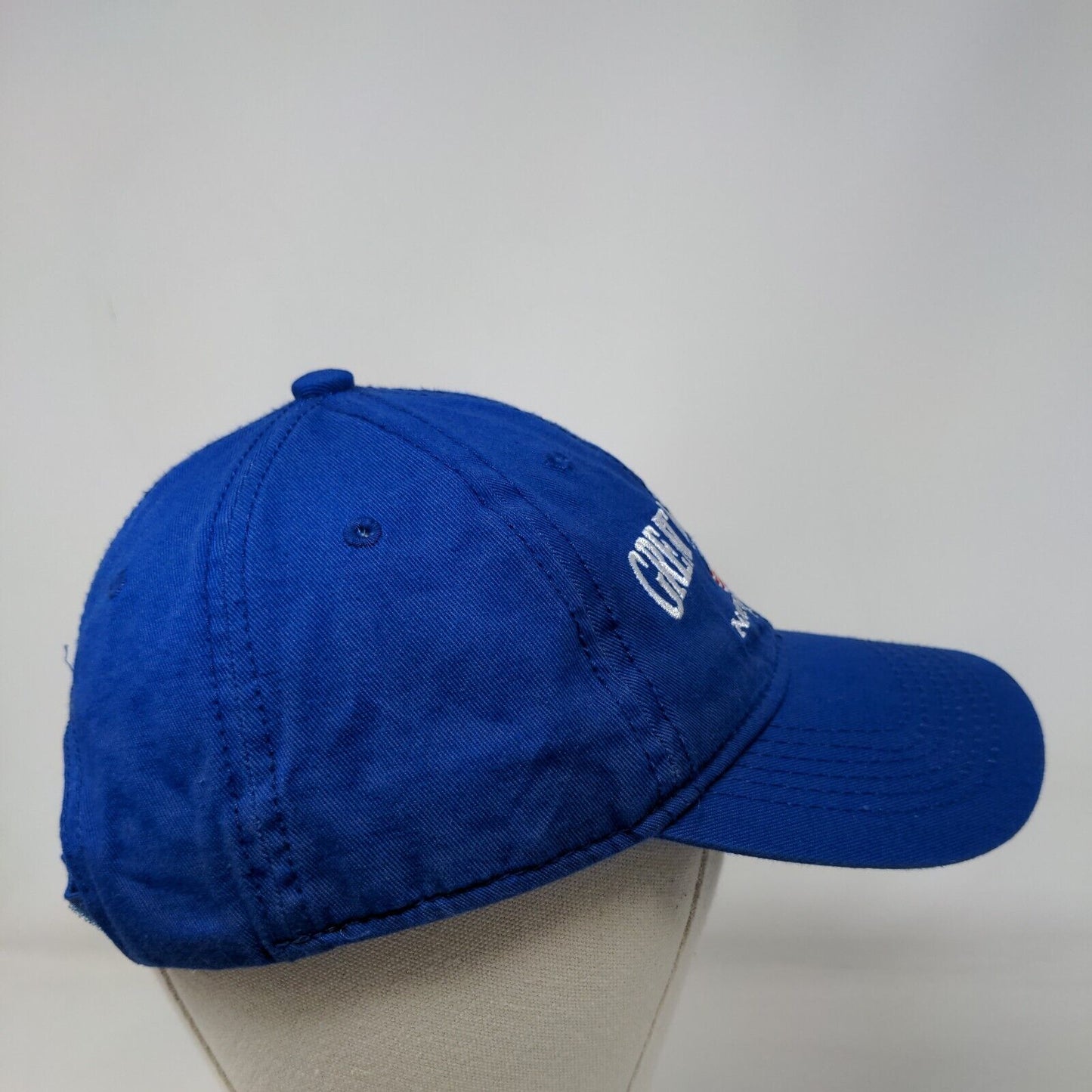 Great Smoky Mtns National Park Est. 1934 Strapback Hat Blue One Size Patriotic