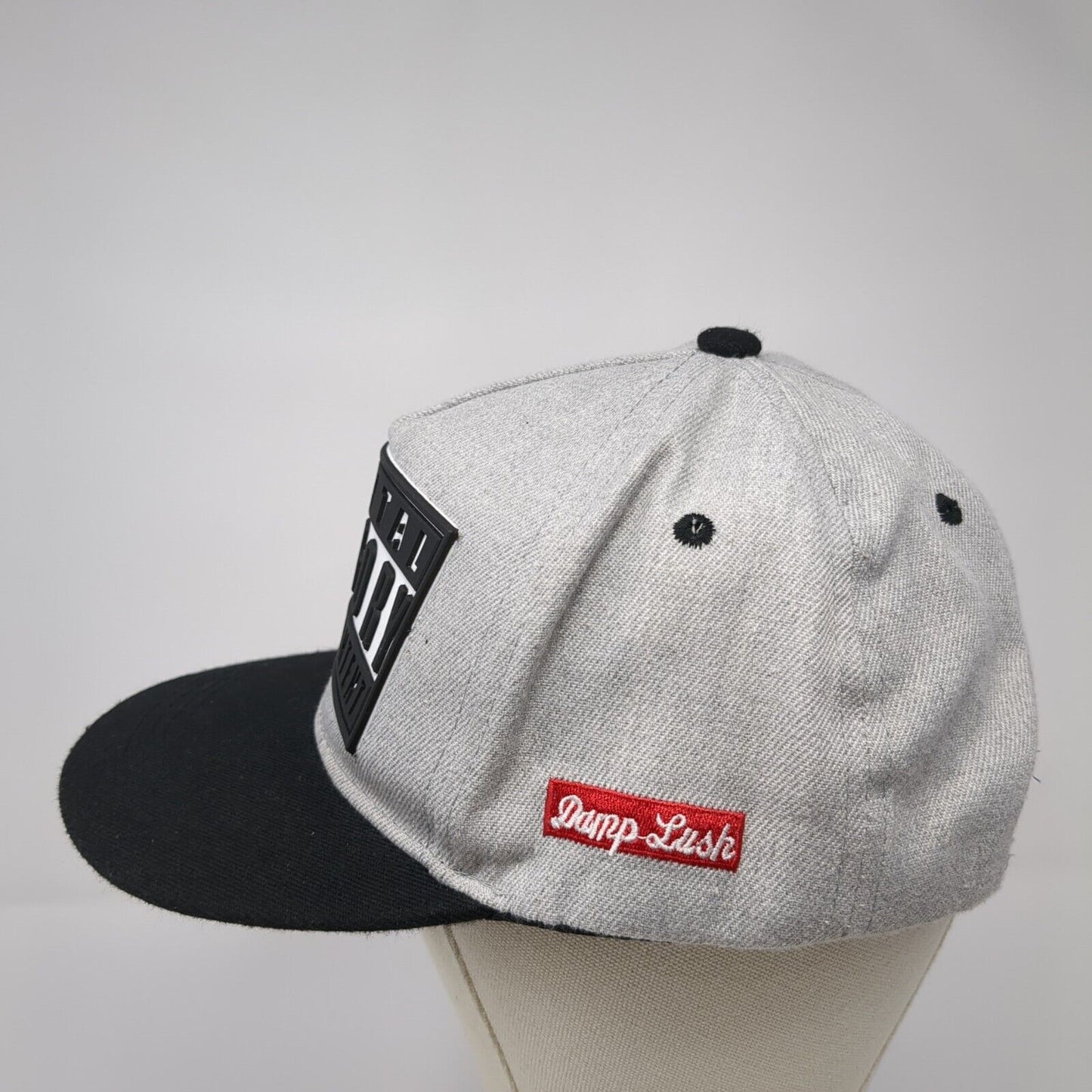 Parental Advisory Explicit Content Snapback Hat Gray OSFA Damp Lush Logo 3D