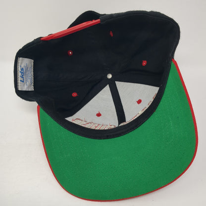 Doctor Sound Snapback Hat Multi One Size Adjustable Embroidered Lids