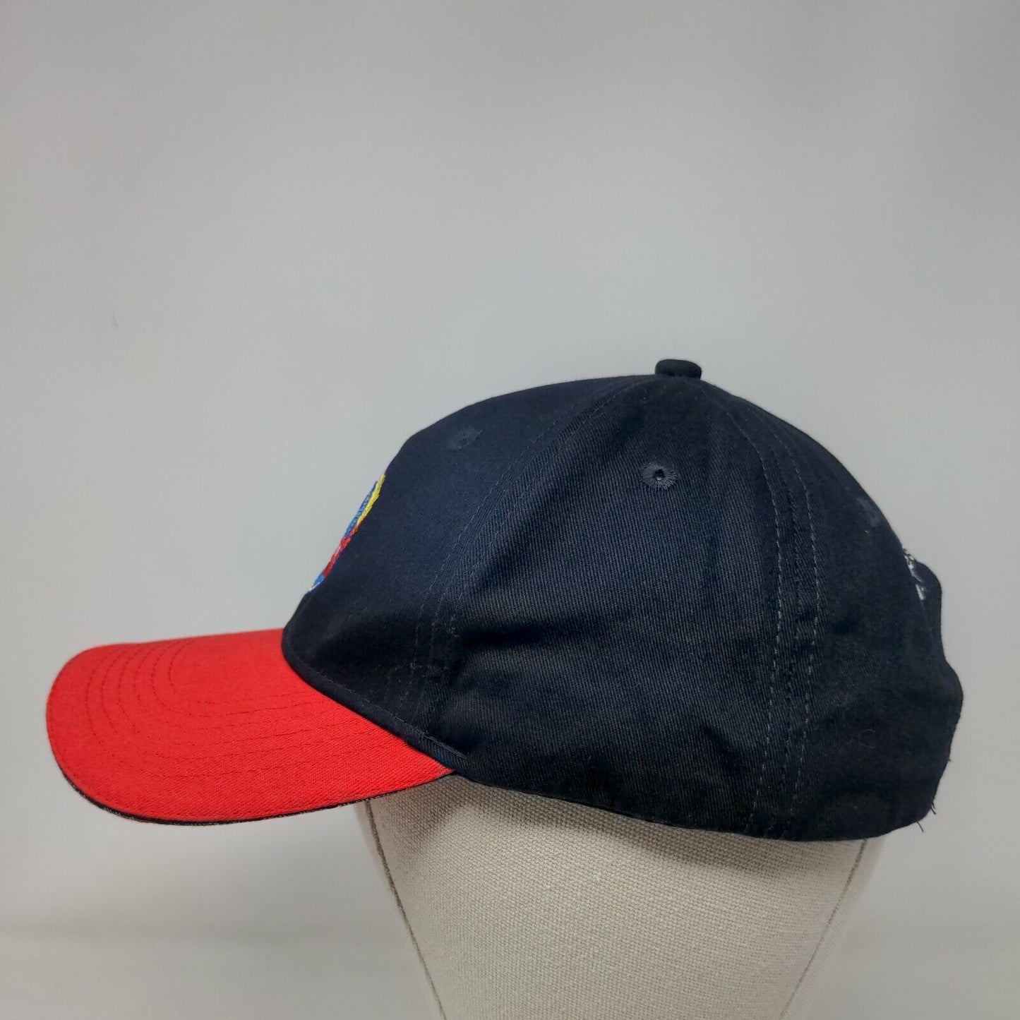 The Smart Ride Community Health Strapback Hat Multi One Size Embroidered