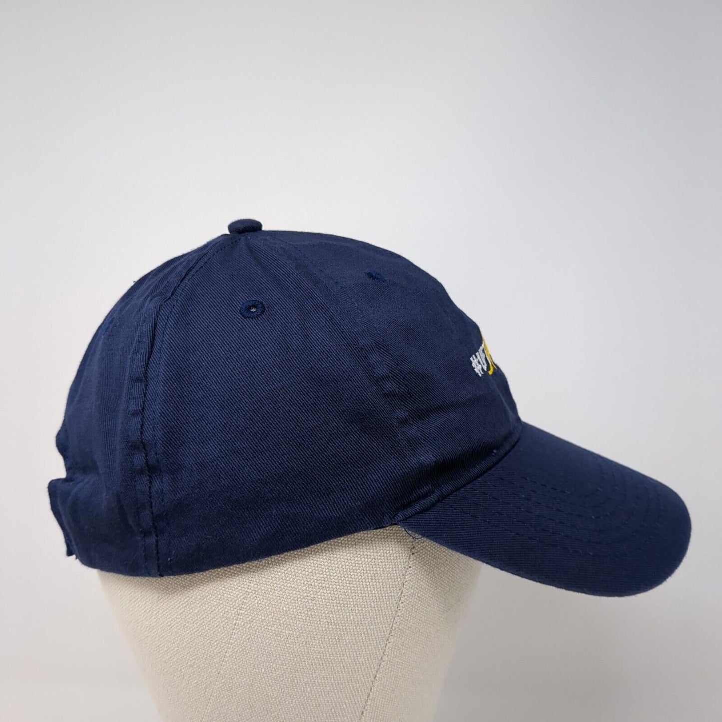 Lift Local Strapback Hat Blue One Size Adjustable Embroidered 6 Panel