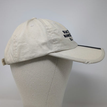 J Hats Baseball Cap Beige One Size Black Mountain NC Bear Distressed Slideback