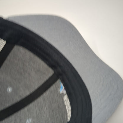 Border States Snapback Trucker Hat Gray One Size Mesh Back Embroidered
