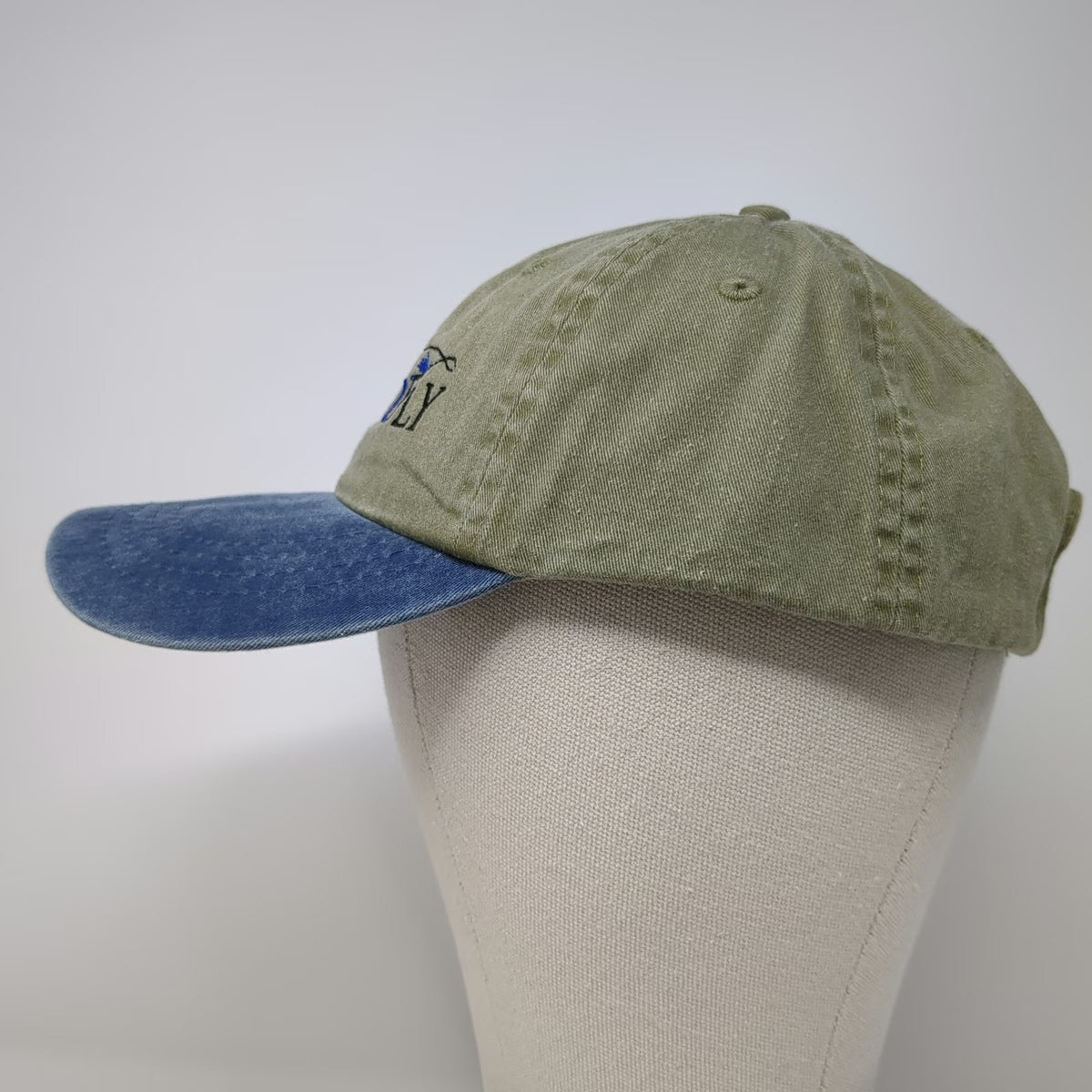 Port & Company Baseball Cap Green Blue One Size Hat Idaho2Fly Cancer Connection