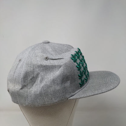 Marijuana Cannabis High Life 420 Snapback Hat Gray One Size Embroidered