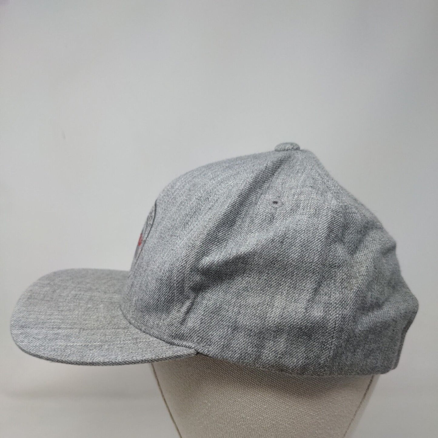 Coors Light Born in The Rockies Snapback Hat Gray One Size Embroidered 6 Panel