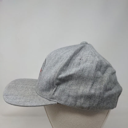 Coors Light Born in The Rockies Snapback Hat Gray One Size Embroidered 6 Panel