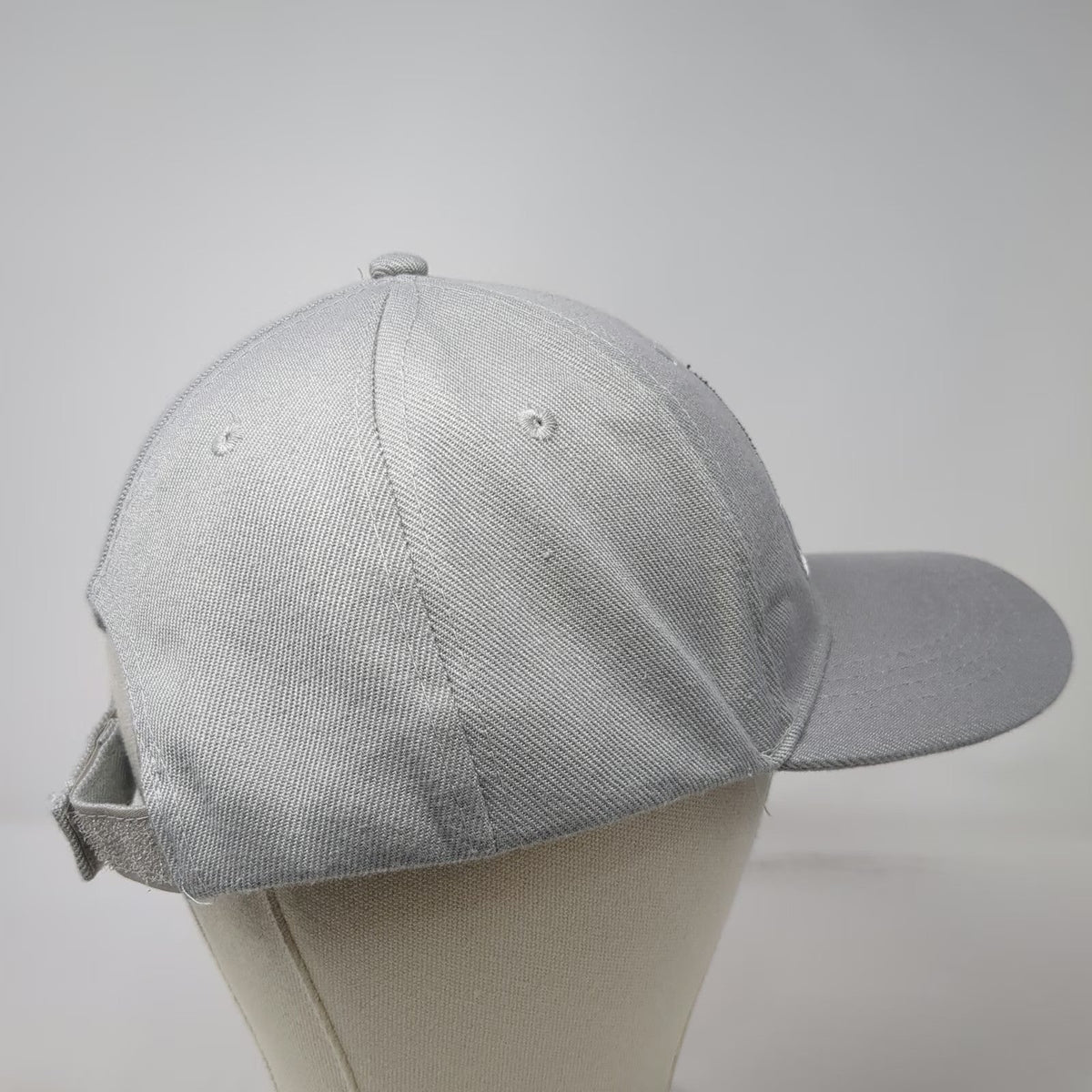 Baseball Cap Gray One Size Hudson Valley Renegades 25 Years Marist MiLB Team Hat