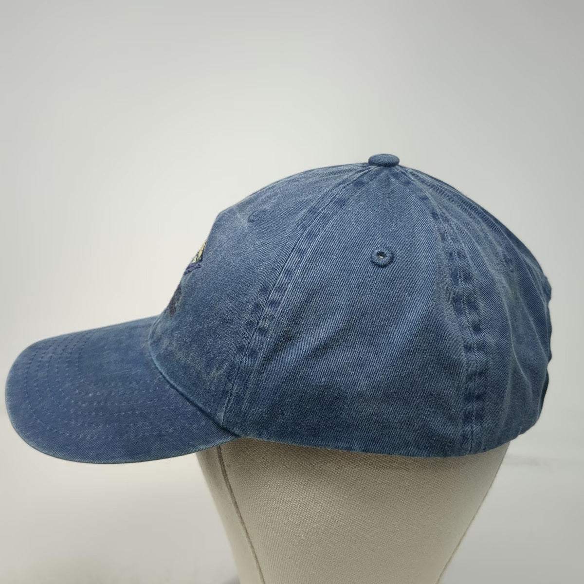 Fahrenheit Baseball Cap Blue One Size Gold Fork Hot Springs Idaho Mountain Hat