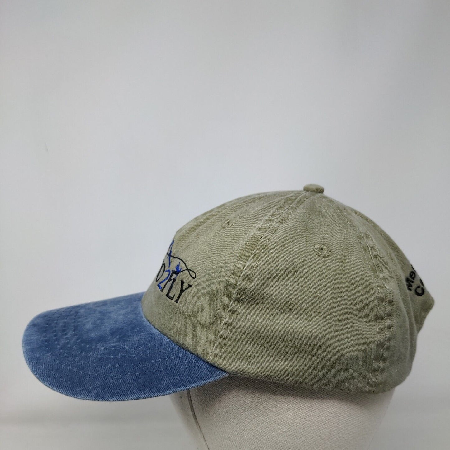 Idaho2Fly Men's Cancer Connection Slideback Hat Multicolor OS Port & Company