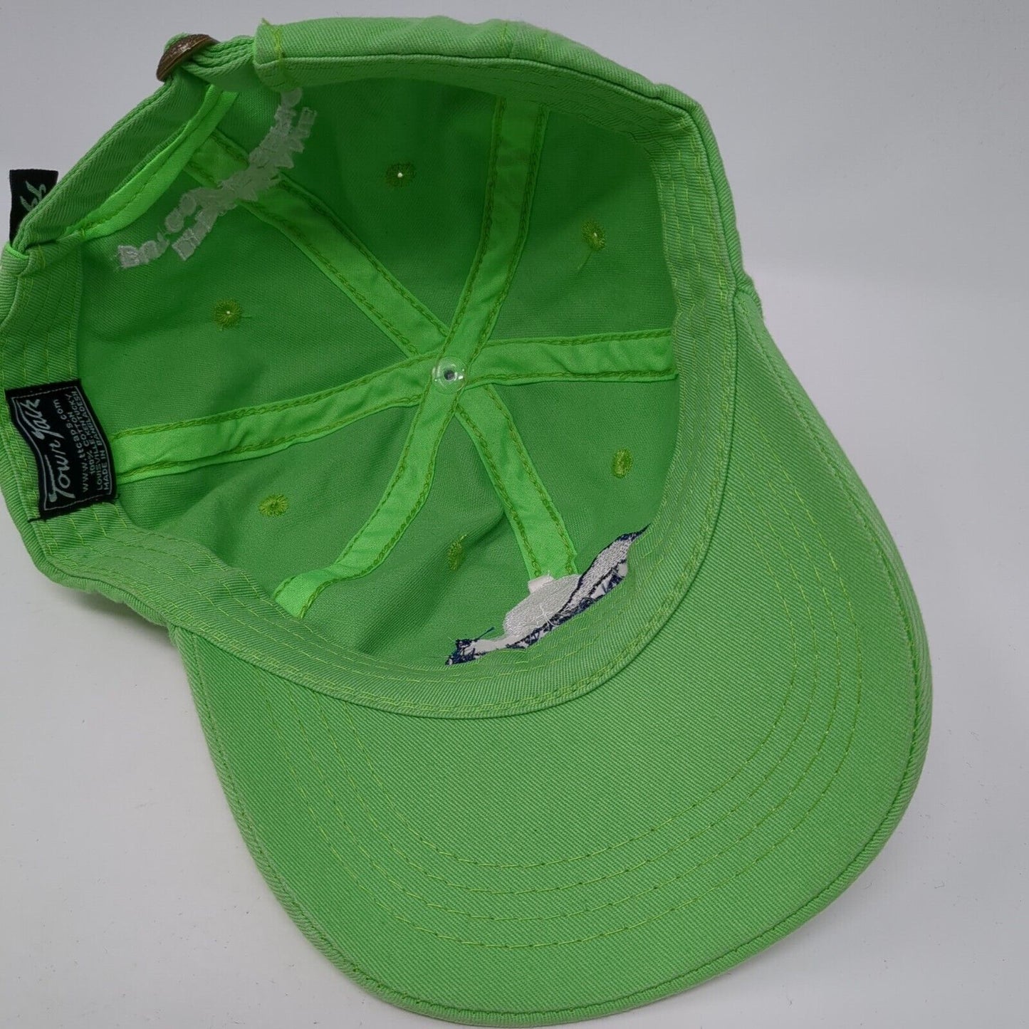 Desert Canyon Mountain Home Idaho Slideback Hat Green OS Adjustable Town Talk