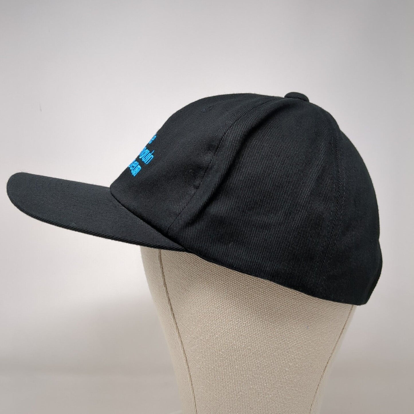 The Penguin Museum Snapback Hat Black OSFA Adjustable Embroidered Cotton