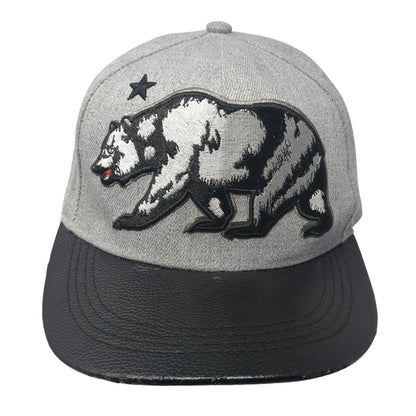 Bear Snapback Hat Gray One Size Adjustable Colorblock Sole Addiction