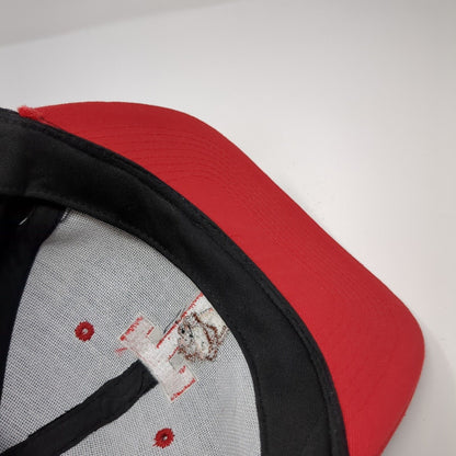 Tasmanian Devil Snapback Hat Multicolor OS Adjustable Embroidered Looney Tunes