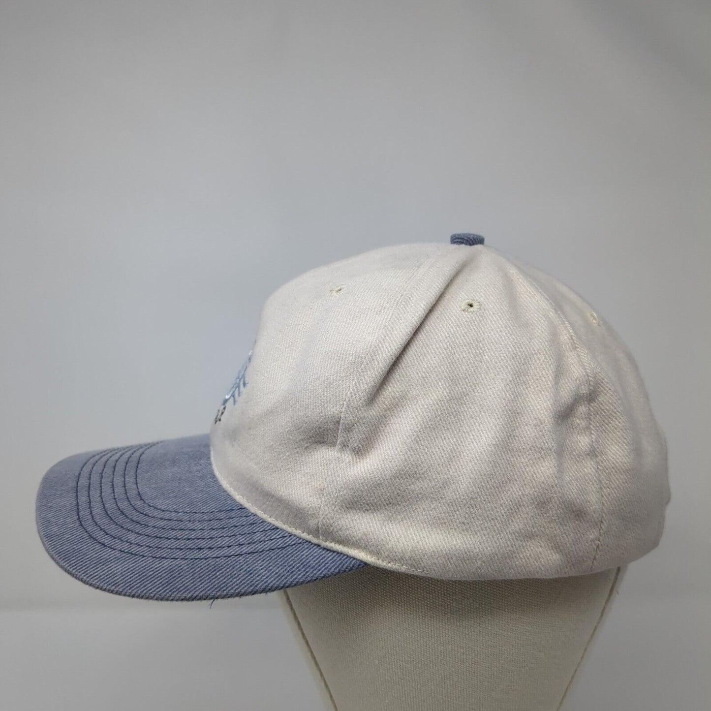 Odyssey Group Strapback Hat Multicolor OSFA Adjustable Embroidered