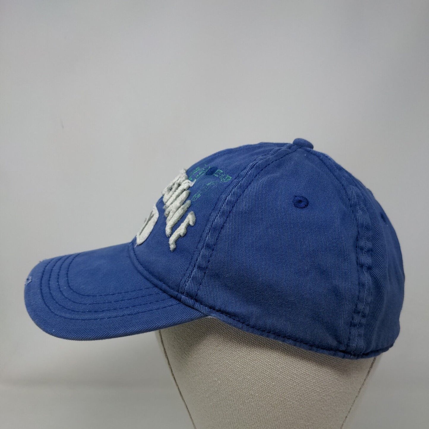 Aeropostale N-Y Fitted Hat Blue S/M Embroidered Distressed Vented Holes