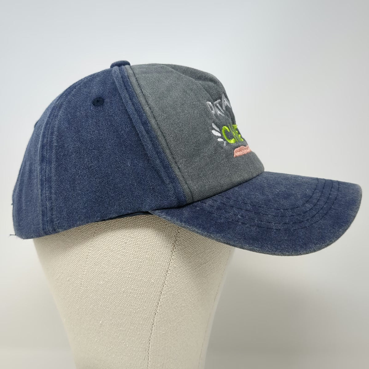 Patagonia Souvenirs Baseball Cap Blue One Size Chile Guanaco Adventure Hat