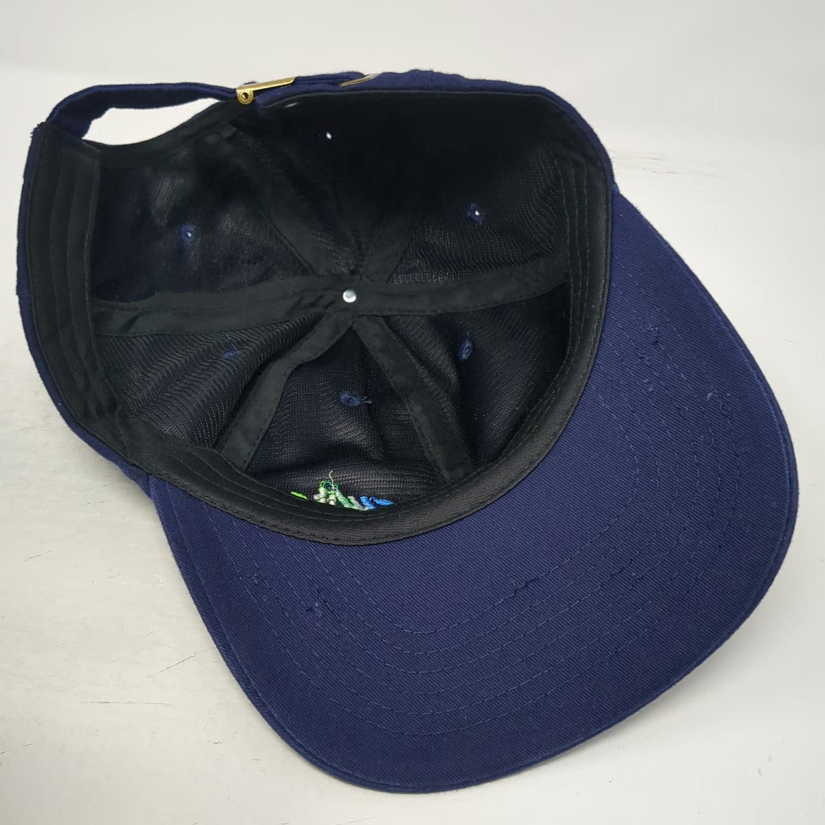 Baseball Cap Blue One Size NCWIT Logo Distressed Slideback Cotton Hat Green
