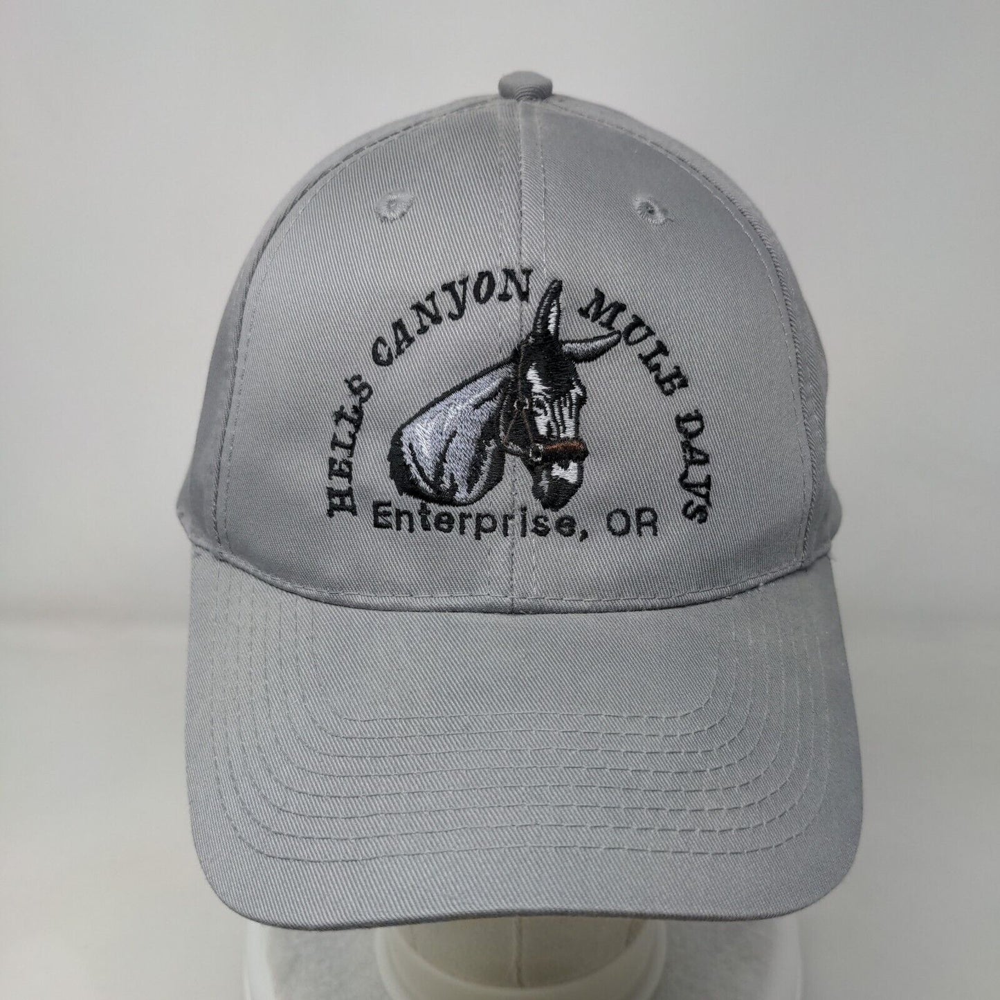 Hells Canyon Mule Days Enterprise OR Snapback Hat Gray OSFM Adjustable Otto