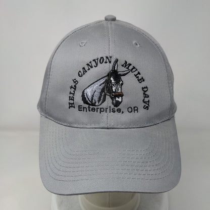 Hells Canyon Mule Days Enterprise OR Snapback Hat Gray OSFM Adjustable Otto
