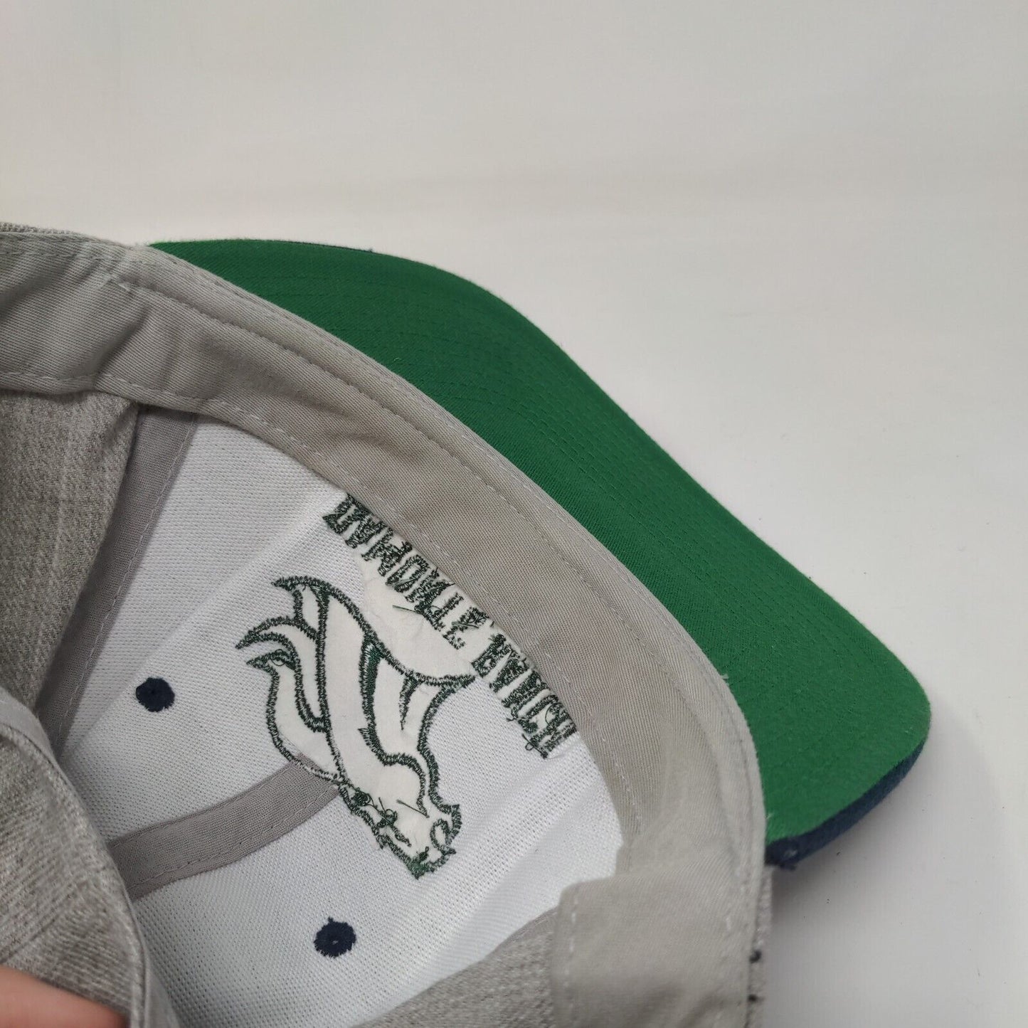 Damonte Ranch Football Snapback Hat Multicolor OSFA Adjustable Embroidered