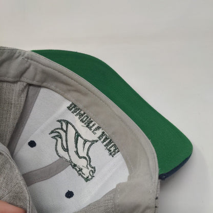Damonte Ranch Football Snapback Hat Multicolor OSFA Adjustable Embroidered