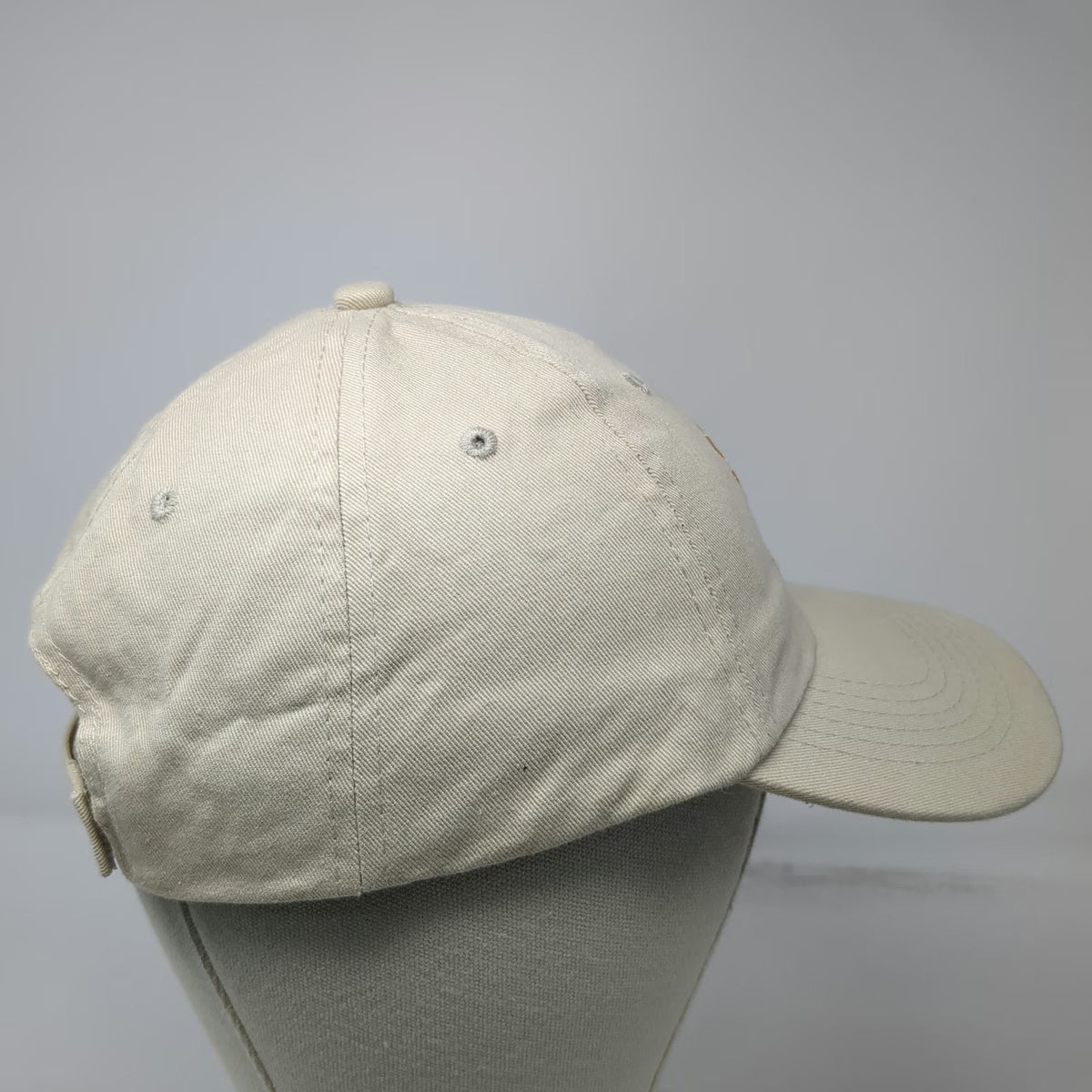 Strong Caps San Isidro Cloud Forest Lodge Bird Beige One Size Baseball Cap Hat