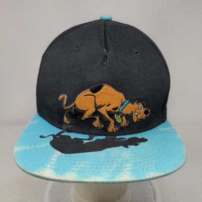 Scooby-Doo Snapback Hat Multi One Size Embroidered Vent Holes Colorblock