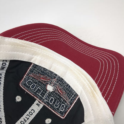 Paramount Outdoors Colt Ford Trucker Hat Blue Red White OSFM Winged Skull Mesh