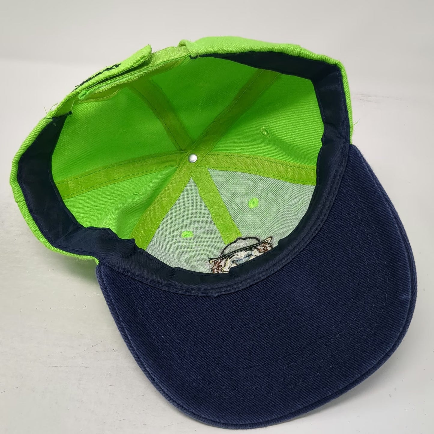 Worcester Bravehearts Boys TD Bank Logo Baseball Cap Green Blue One Size Hat
